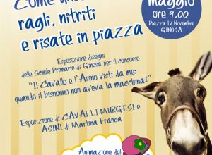 Manifestazione 26 maggio