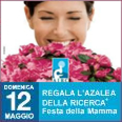 l'AZALEA DELLA RICERCA l'AZALEA DELLA RICERCA