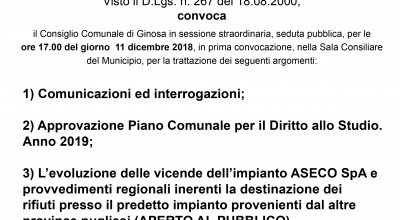 In diretta il Consiglio Comunale di oggi 11 Dicembre 2018