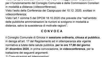 Consiglio Comunale del 21 Dicembre 2020