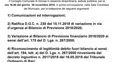 Venerdì 30 novembre 2018 è convocato il Consiglio Comunale