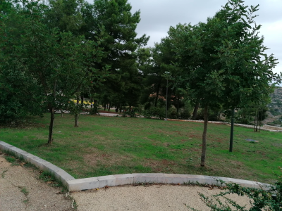 AFFIDAMENTO DELLA GESTIONE DEL PARCO URBANO “BADEN POWELL” IN GINOSA