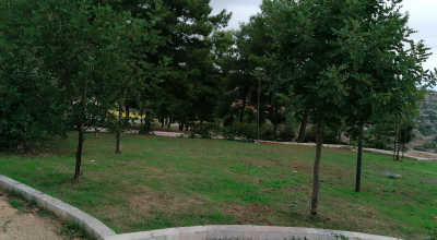 AFFIDAMENTO DELLA GESTIONE DEL PARCO URBANO “BADEN POWELL” IN GINOSA