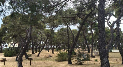 AVVISO PUBBLICO GESTIONE PARCO COMUNALE DI MARINA DI GINOSA