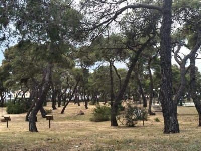 AVVISO PUBBLICO GESTIONE PARCO COMUNALE DI MARINA DI GINOSA