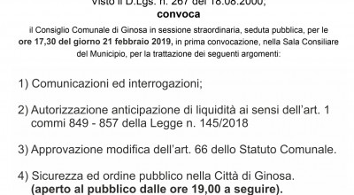 Giovedì 21 febbraio 2019 - Il Consiglio Comunale in diretta