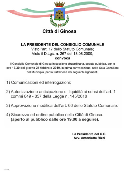 Giovedì 21 febbraio 2019 - Il Consiglio Comunale in diretta