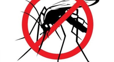 DISINFESTAZIONE STRAORDINARIA ANTIALARE