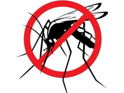 DISINFESTAZIONE STRAORDINARIA ANTIALARE