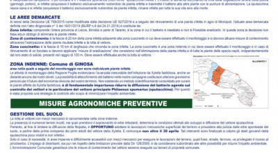 CAMPAGNA DI PREVENZIONE CONTRO LA XYLELLA FASTIDIOSA