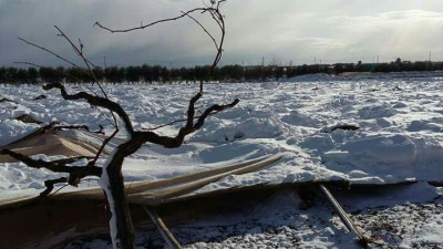 RICHIESTA BENEFICI PER CALAMITA' ATMOSFERICA